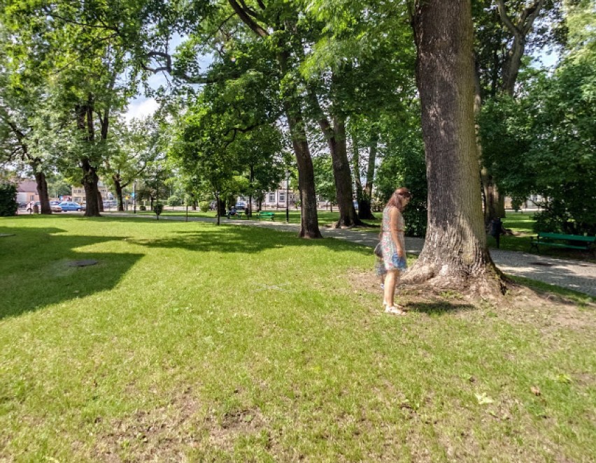Suwałki i suwalczanie w kamerach Google Street View. Nagrali Cię? Sprawdź