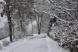 Pierwszy śnieg w Człuchowie - pierwsza odsłona tegorocznej zimy zaskoczyła grubą warstwą białego puchu