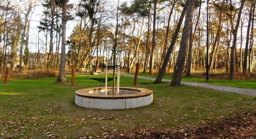 Zakończono projekt "Zielone Darłowo". Powstał Nadmorski Park w Darłówku [ZDJĘCIA]