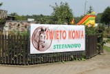 Święto Konia - Stefanowo 27 lipca 2019 r. Boisko sportowe w Stefanowie - Zobacz program                