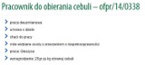 Obieranie cebuli hitem internetu, czy może jednak sposobem na zarabianie pieniędzy?