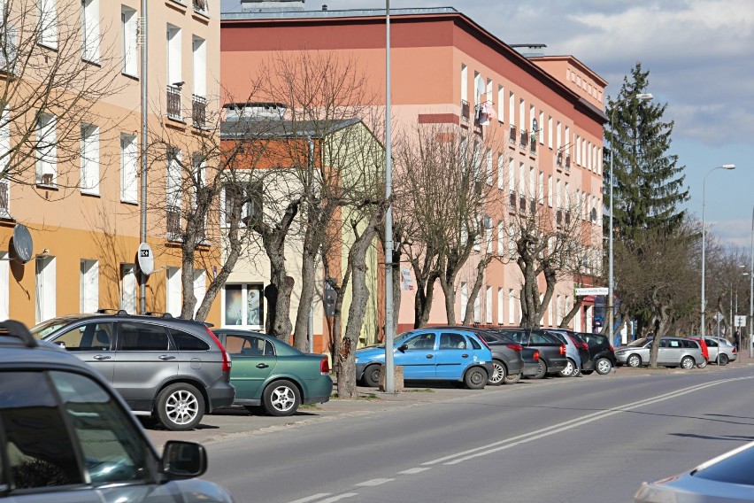 Projekt rewitalizacji zieleni w Kraśniku. Aleja jabłoniowa znów stanie się jednym z symboli miasta? Już wkrótce ruszą prace (ZDJĘCIA)