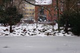 Bajkowa zima w Parku Kazimierza Wielkiego w Bydgoszczy [zdjęcia, wideo]