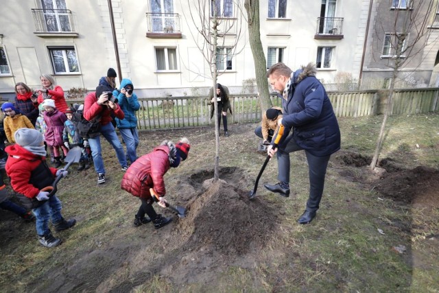 Dzieciaki z Miejskiego Przedszkola nr 48 posadziły drzewa wspólnie z prezydentem miasta.