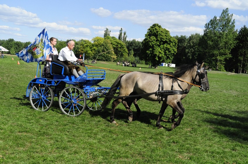 Sieraków - Tarpaniada 2013