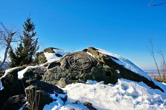 Na Sępią Górę, położoną na wysokości 828 m n.p.m. możecie wybrać się z dziećmi. Będą zachwycone.