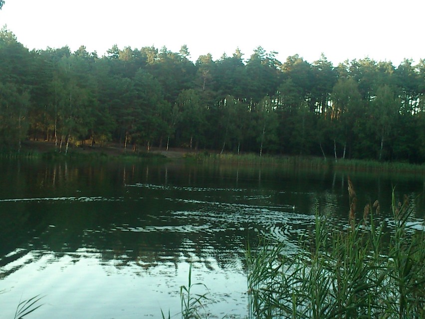 Jezioro2