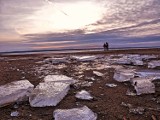 Turawa. Brzegi Jeziora Dużego skute lodem. Taka zima nad wodą co najmniej do czwartku [ZDJĘCIA]