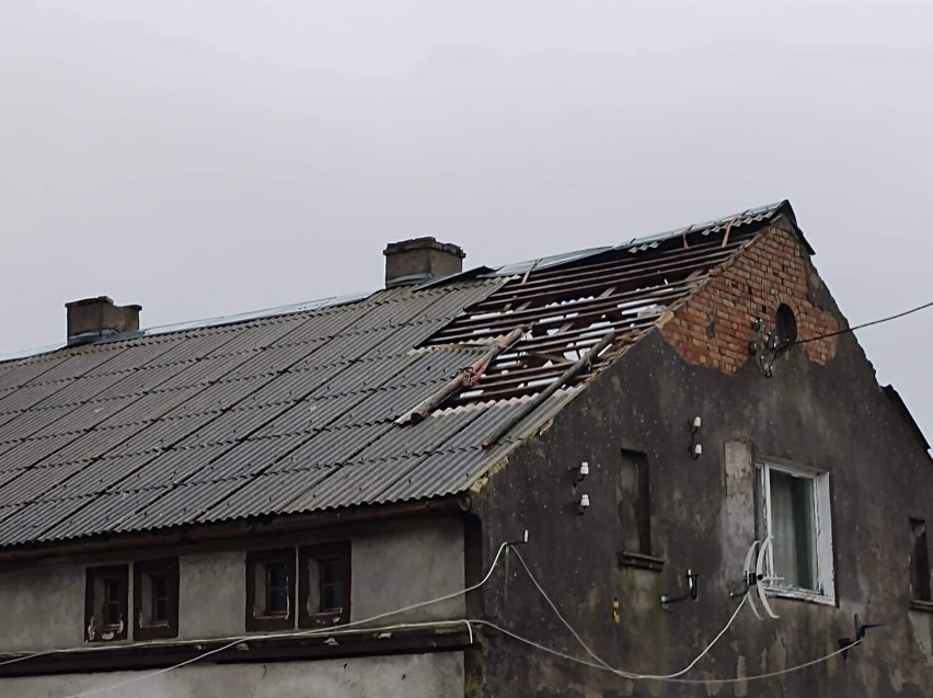 Silny wiatr w gminie Darłowo. Zerwane dachówki i powalone drzewa [zdjęcia]
