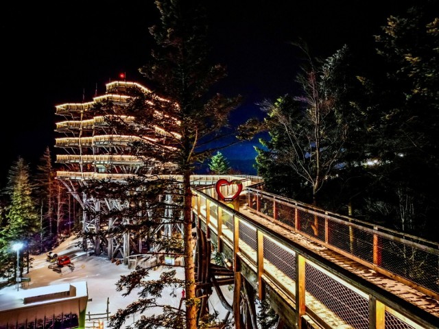 Tylko do końca ferii zimowych, czyli do 25 lutego, można wybrać się na wieczorny spacer ścieżką w koronach drzew i wejść na wieżę widokową w ośrodku Słotwiny Arena w Krynicy-Zdroju
