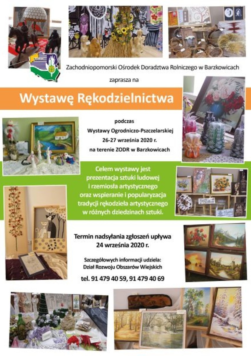 Polski miód jest jak naturalne lekarstwo. W weekend w Barzkowicach jest Wystawa Ogrodniczo-Pszczelarska
