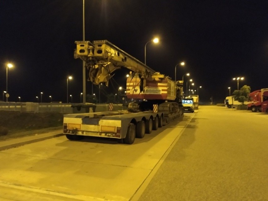 Kontrole ITD na drogach w Kujawsko-Pomorskiem: Ciężarówka przeładowana świniami i za ciężka wywrotka