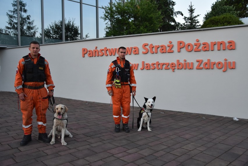Kopalnia Zofiówka w Jastrzębiu: specjalistyczne psy w...