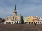 Zamość: dyrektorów na razie nie będzie. Będą pełniący obowiązki