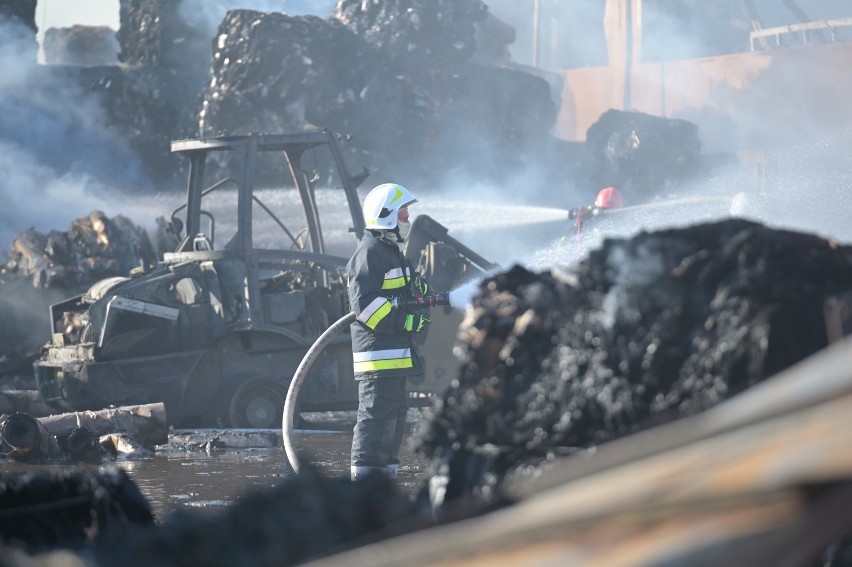 Pożar składowiska makulatury w Grudziądzu. Ogromne straty, największa akcja strażaków od lat