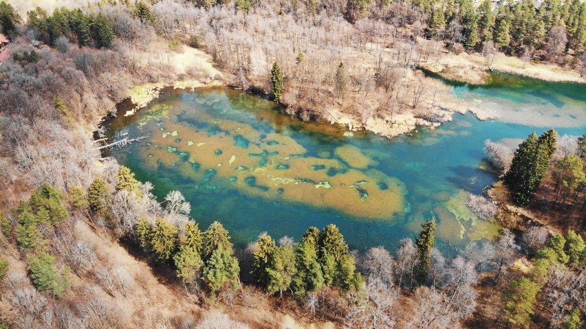 Suwalszczyzna i Mazury z lotu ptaka. Te widoki zapierają dech w piersiach (zdjęcia)