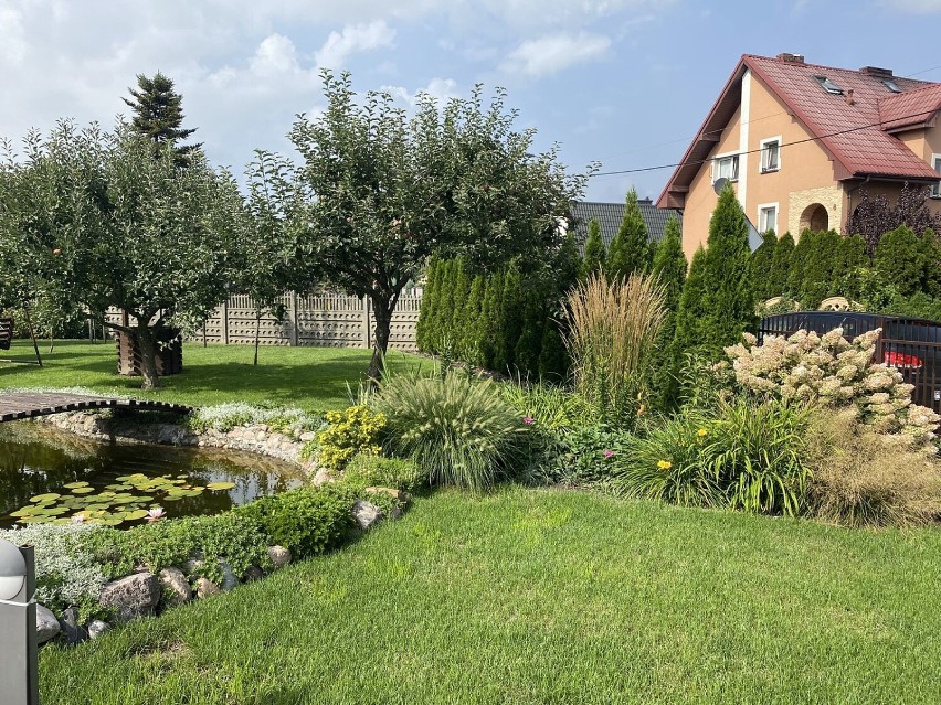 Zielony Kalisz. Oto najpiękniejsze ogrody, balkony i ogródki działkowe w Kaliszu. ZDJĘCIA