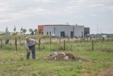 Nowe ogródki działkowe w Poznaniu oficjalnie otwarte! Nowoczesny Dom Działkowca i spokojna okolica na Głuszynie