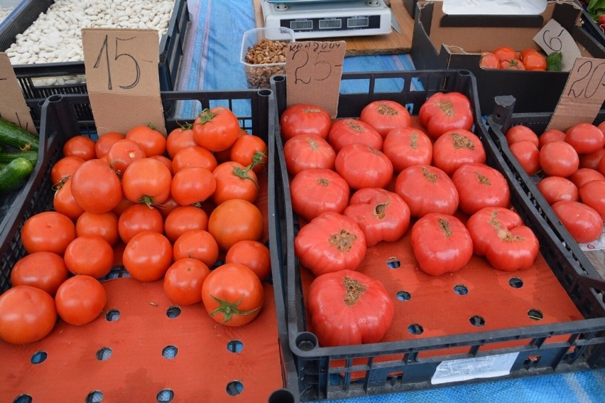 Pomidory od 15 złotych za kilogram/