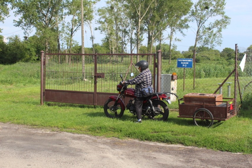 Sezon lotów sportowych gołębi w Radziejowie [zdjęcia]