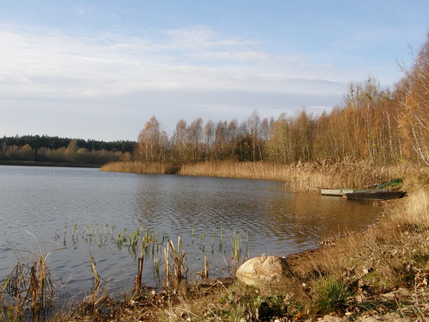 Park Krajobrazowy Puszcza Zielonka

Park położony na...