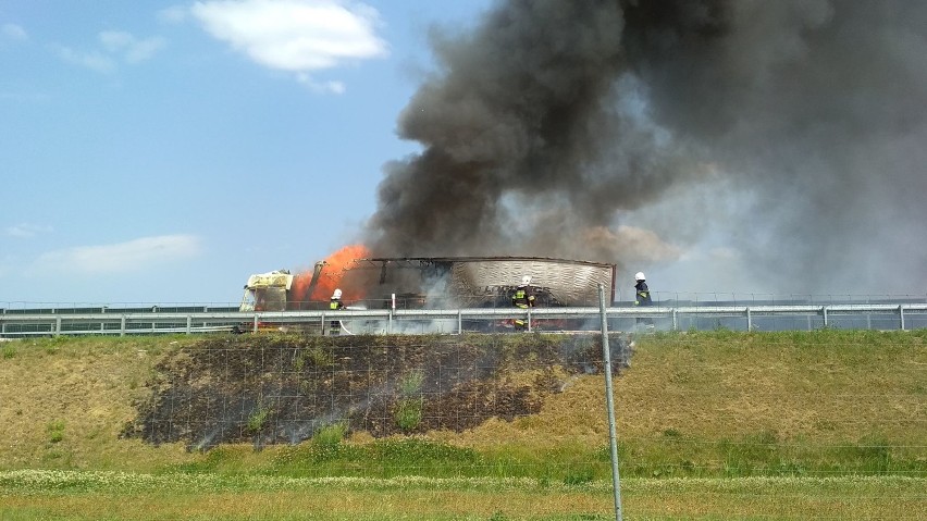 Pożar tira na autostradzie A1 pod Włocławkiem [zdjęcia]