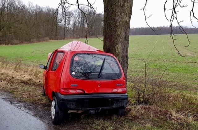 Do wypadku doszło w niedzielę po południu. Kierowca fiata seicento uderzył w przydrożne drzewo na drodze powiatowej w Komorznie (gmina Wołczyn). 

Kierowca i pasażer opuścili samochód o własnych siłach. 

Na miejsce przyjechały dwa zespoły ratownictwa medycznego. Ratownicy po udzieleniu pierwszej pomocy zabrali poszkodowanych karetkami do szpitala na obserwację. 

Straty materialne oszacowano wstępnie na 2 tysiące zł.



