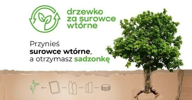 "Gazeta Krakowska" w Gorlicach rozda sadzonki 25 maja. Warto już zacząć zbierać surowce wtórne