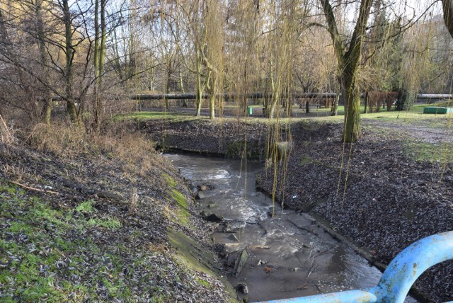 Regulację cieków Krępicy (na zdjęciu) i Piwonki