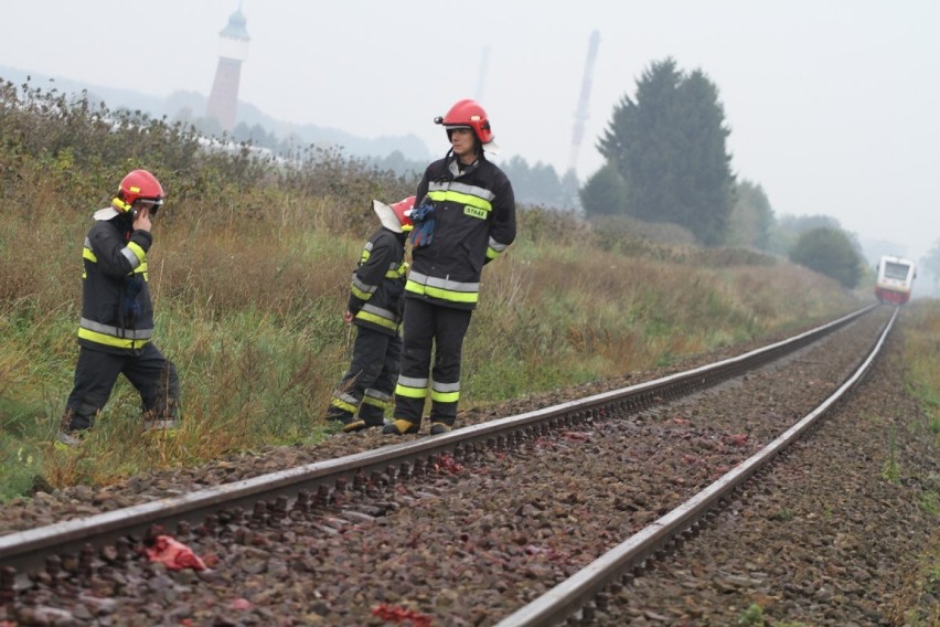 Pociąg przejechał konia w Złotowie