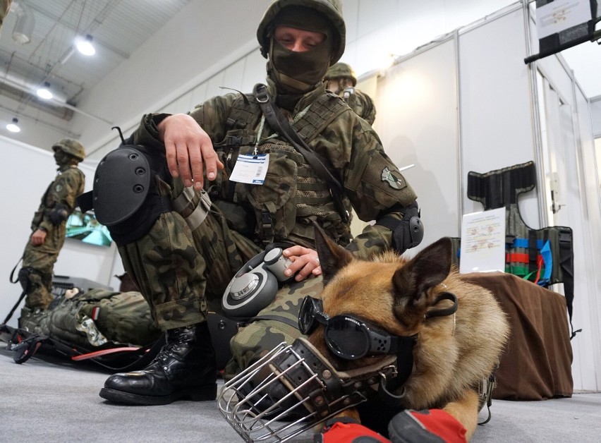 Sztab Generalny: żołnierze wystąpili z propozycją nadawania stopni wojskowych psom. "Zamierzamy odpowiedzieć pozytywnie"