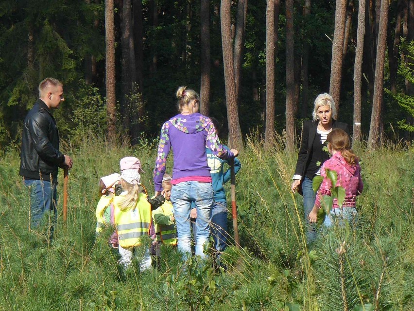 Chwaliszew - Sadzili drzewka na święto lasu