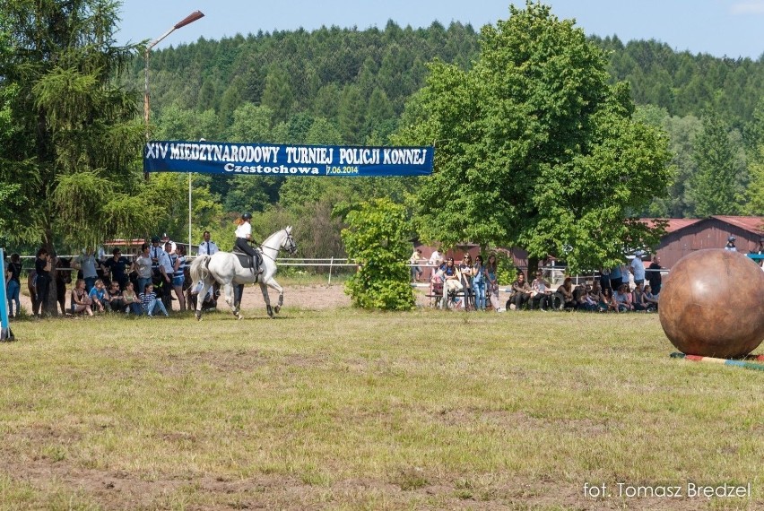 Mundurowi na koniach -XIV Międzynarodowy Turniej Policji Konnej