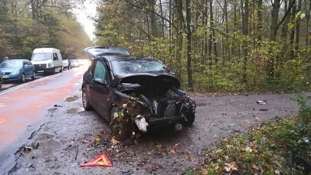 Bardzo pechowo rozpoczął się 2 listopada na drogach powiatu krotoszyńskiego. Przed godziną 7:00 na drodze wojewódzkiej pomiędzy Krotoszynem, a Sulmierzycami doszło do zderzenia busa z osobówką. 

WIĘCEJ: Groźny wypadek w okolicach Chwaliszewa. Zderzyły się dwa samochody [ZDJĘCIA]