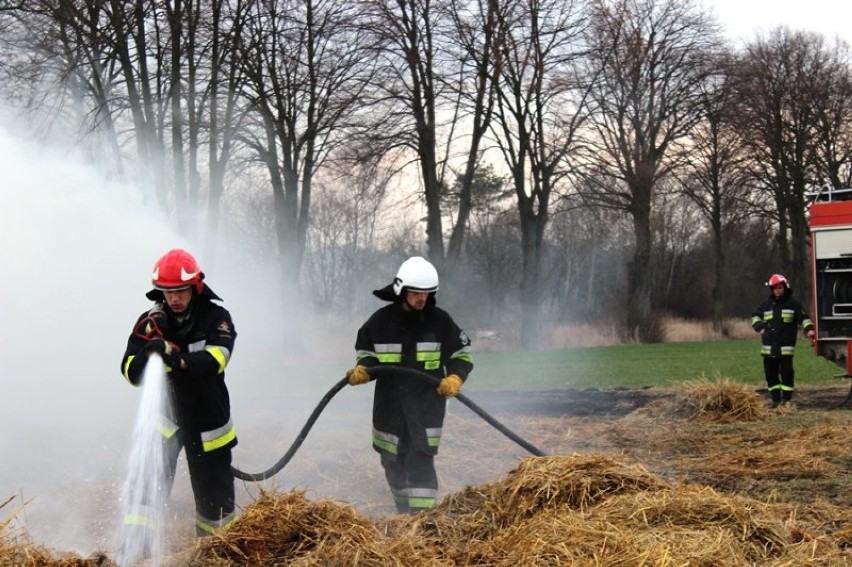 Pożar pod Fromborkiem. Na polu paliły się baloty słomy