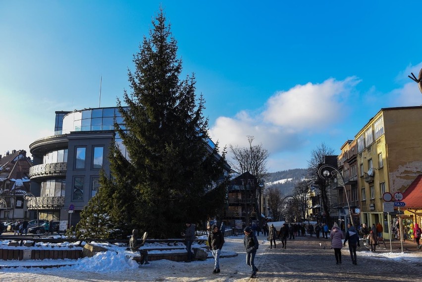 Zakopane. Na Krupówkach stanęła świąteczna choinka [ZDJĘCIA] 