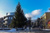 Zakopane. Na Krupówkach stanęła świąteczna choinka [ZDJĘCIA] 