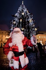 Rozświetlona choinka na Starym Rynku zachwyca bydgoszczan [zdjęcia]