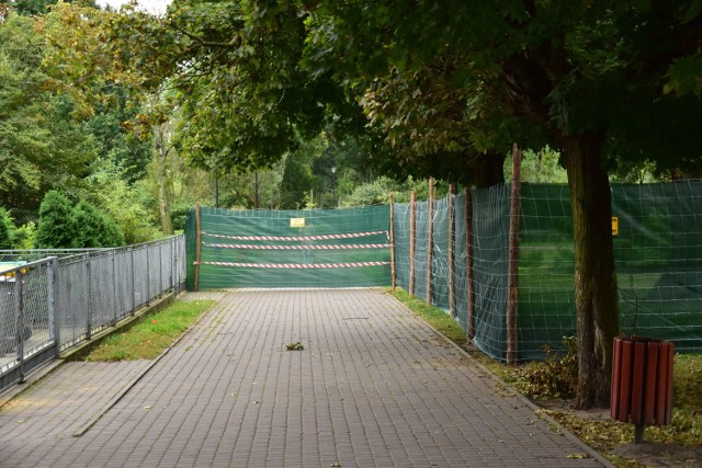 Rozpoczęły się prace w parku między ul. Kościuszki i Sienkiewicza w Żninie.