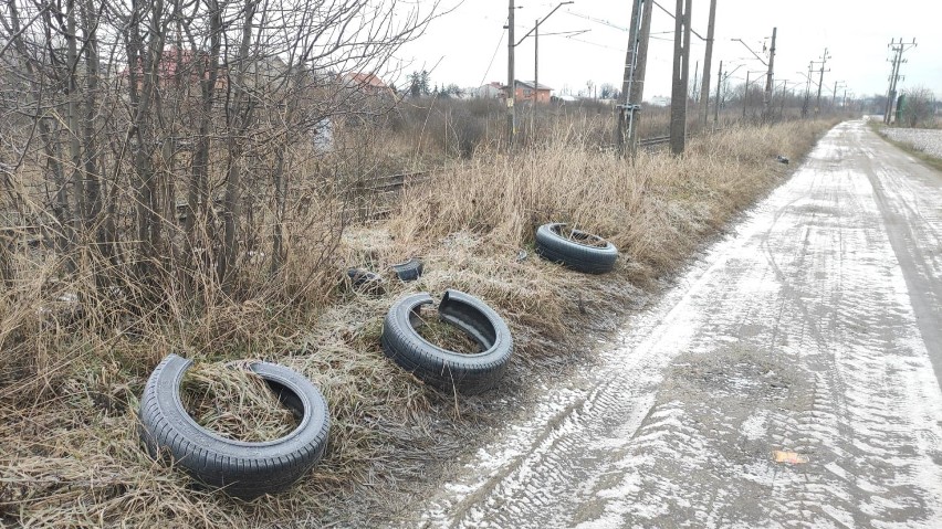 W Kaliszu przybywa dzikich wysypisk śmieci, choć w mieście działa darmowy PSZOK. ZDJĘCIA