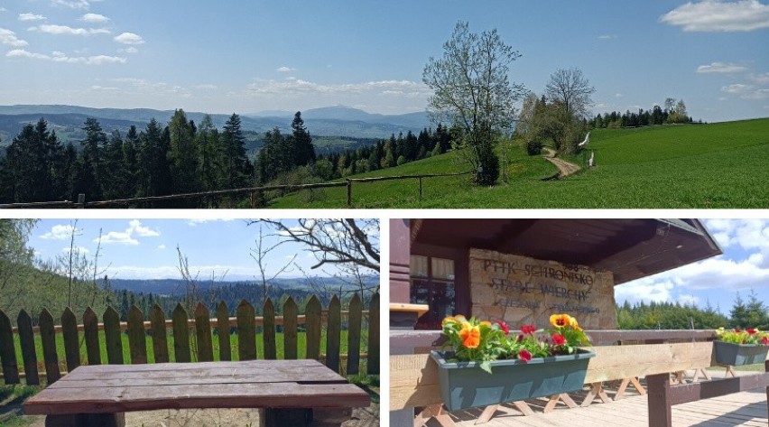 Maciejowa. Wiosna nareszcie dotarła w Gorce! Stare Wierchy, Bukowina Obidowska, widoki na Tatry... [ZDJĘCIA]