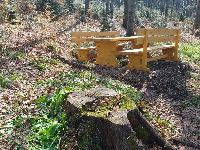 Przy zielonym szlaku na górę Kamionną w Beskidzie Wyspowym...