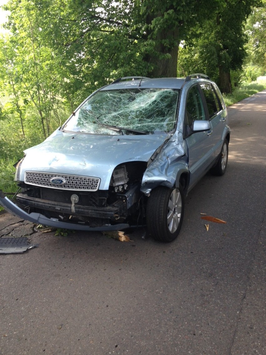 Wypadek w Więckowach: Drzewo spadło na auto