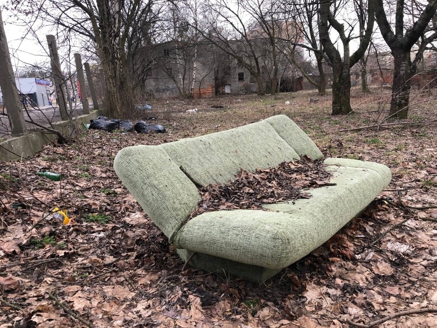 Mieszkańcy Łodzi są bezradni na narastający problem...