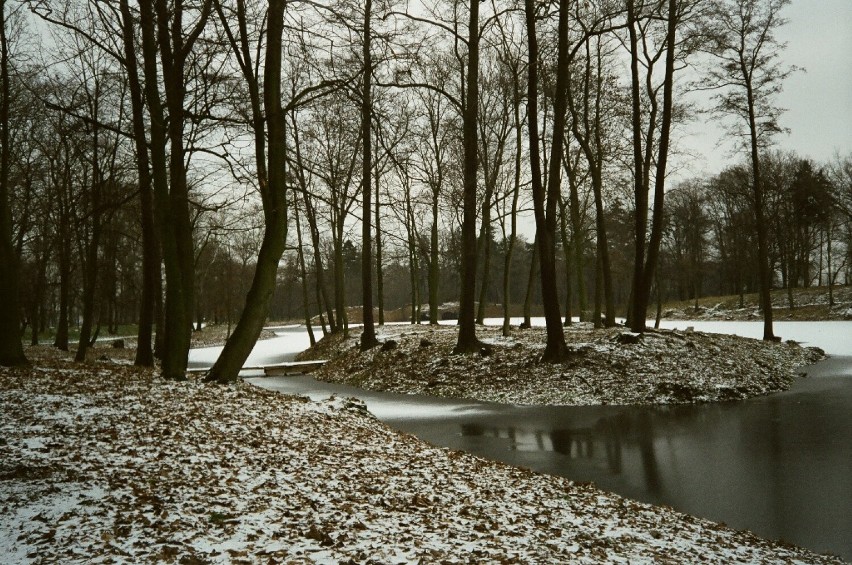 Park w Kościelcu w roku 1999.