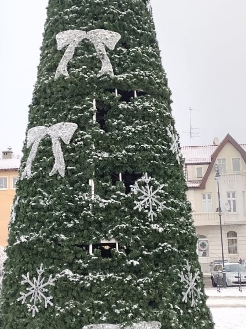 Porwana została zielona otulina imitująca igły choinki. To...