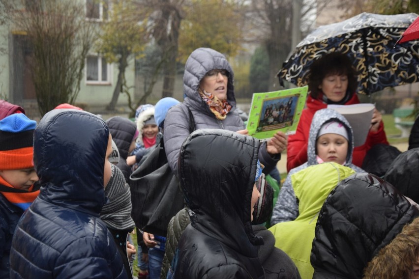 W Aleksandrowie Kujawskim posadzono Dąb Stulecia. Będzie upamiętniać szczególne wydarzenie [zdjęcia]