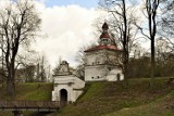 Park Miejski w Zbąszyniu. Tutaj drzewa, nie wyszumiały całej melodii [Zdjęcia - 25.04.21]