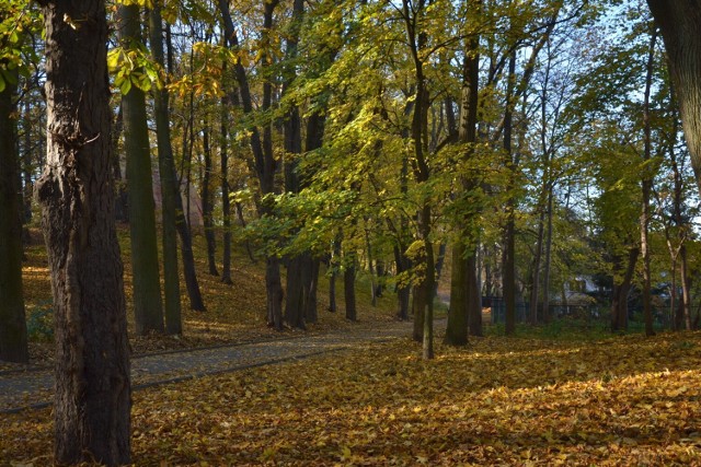 Jesień też swe uroki ma… Powiat lipnowski w jesiennej odsłonie jest piękny!