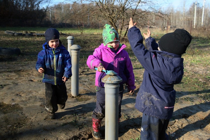 Leśne przedszkole w Starym Gaju. Zobacz, co dzieci tam robią